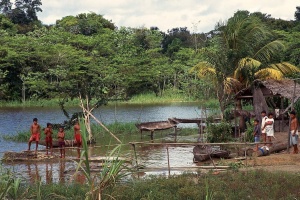 amazonia